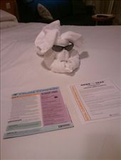 Towel animals - day 2: by travelgems, Views[199]