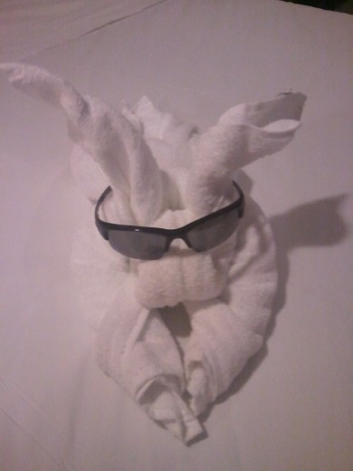 Towel animal - day 4