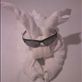 Towel animal - day 4 by: travelgems Views[119]
