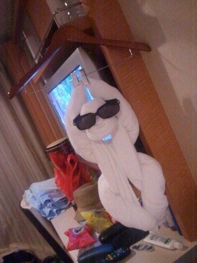 Towel animal - day 6