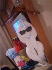 Towel animal - day 6: by travelgems, Views[375]