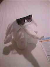 Towel animal - day 6: by travelgems, Views[220]