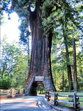 by travelginger, Views[160]