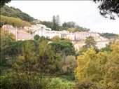 I really loved the fall colors in Sintra: by traveling_texan, Views[312]