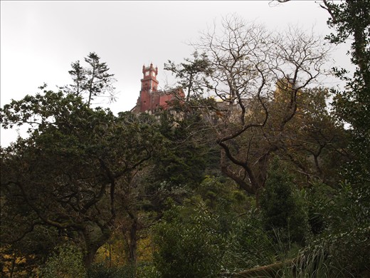 Finally! We can see it!