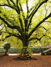 by traveling_texan, Views[213]