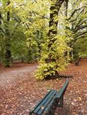 by traveling_texan, Views[201]