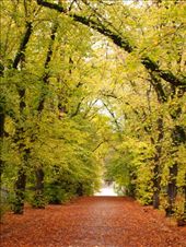 by traveling_texan, Views[200]