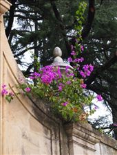 by traveling_texan, Views[224]