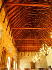 by traveling_texan, Views[279]