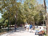 Gezi Park: by traveling_texan, Views[159]