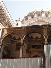 by traveling_texan, Views[149]