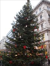 by traveling_texan, Views[198]