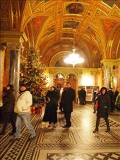 by traveling_texan, Views[176]