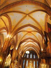 by traveling_texan, Views[167]