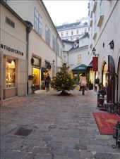 by traveling_texan, Views[184]