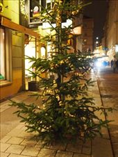 by traveling_texan, Views[206]