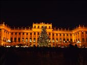 Christkindlmarkt at Schloss Schonbrunn: by traveling_texan, Views[154]