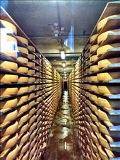 by travelingherbie, Views[163]