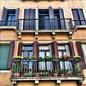 by travelingherbie, Views[123]