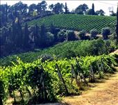 by travelingherbie, Views[141]