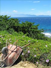 by travelinglotus, Views[393]