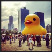 by travelinglotus, Views[381]