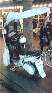 by travelingscott, Views[210]