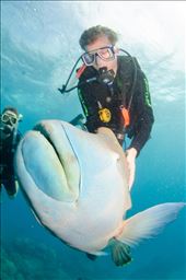 by travelisgoodforthesoul, Views[173]