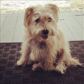 by travellergirl, Views[163]