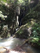 by travellergirl, Views[183]