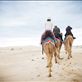 In the dessert.: by travellingnomads, Views[102]