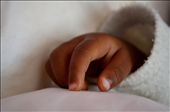 The fragile fingers of an orphan baby: by travelscholarship2013, Views[290]