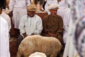 Ancient scenes, like the Nizwa livestock sooq, are common in Oman.: by travelsofjack, Views[245]