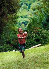 by traveltiger, Views[151]