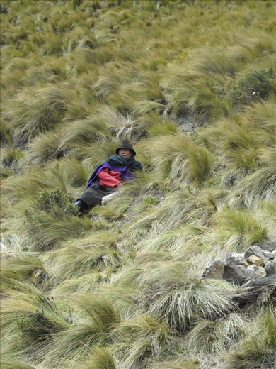 Adapted to the Andes, the locals were tough. This is a rare moment of repose.