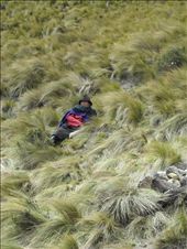 Adapted to the Andes, the locals were tough. This is a rare moment of repose.: by traveltransmissions, Views[643]