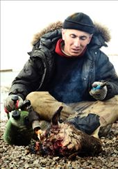 None of the animal's part is left aside. After this strange pre-cooking, the ship's head is gonna be boiled for 10 hours, and served for a sacred meal.: by travelwide, Views[1101]