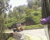 by travelwithmycam, Views[180]