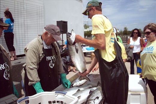The weight in of the fish caught.