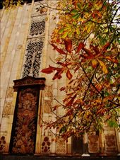 Autumn colours are just stunning!!: by treefrog, Views[191]