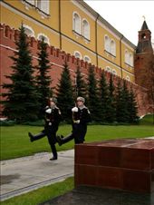 The new guards approaching lifting their legs waist high: by treefrog, Views[141]