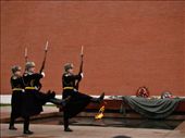 The guards who have just finished their shift marching off again: by treefrog, Views[189]