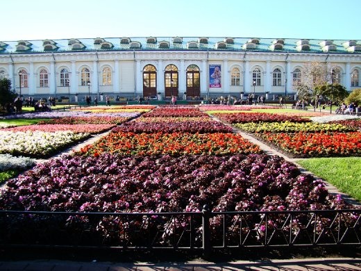 The Alexander Gardens in front of the Kremlin The Alexander Gardens in front of the Kremlin