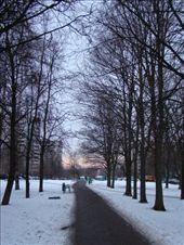 Early morning I had to walk through the snow covered park: by treefrog, Views[174]