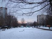 The snow covered park on my way to work: by treefrog, Views[191]