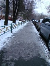 Ice covered sidewalk: by treefrog, Views[155]