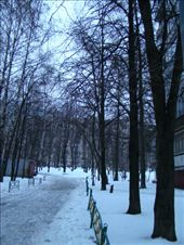 by treefrog, Views[154]