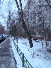 by treefrog, Views[152]