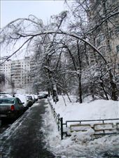 Walking along the ice covered streets of Moscow: by treefrog, Views[186]
